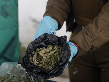 Sorprenden a conductor que escondía casi 32 kilos de marihuana en su automóvil en Petorca