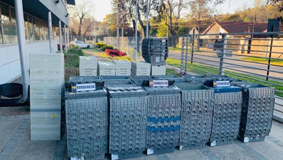 Recuperan 300 cajas de almacenamiento que habían sido robadas a cadena farmacéutica en Viña del Mar