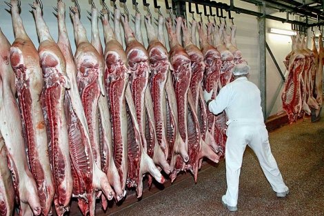 Corea del Sur prohíbe importación de carne de cerdo proveniente de Alemania por la peste porcina