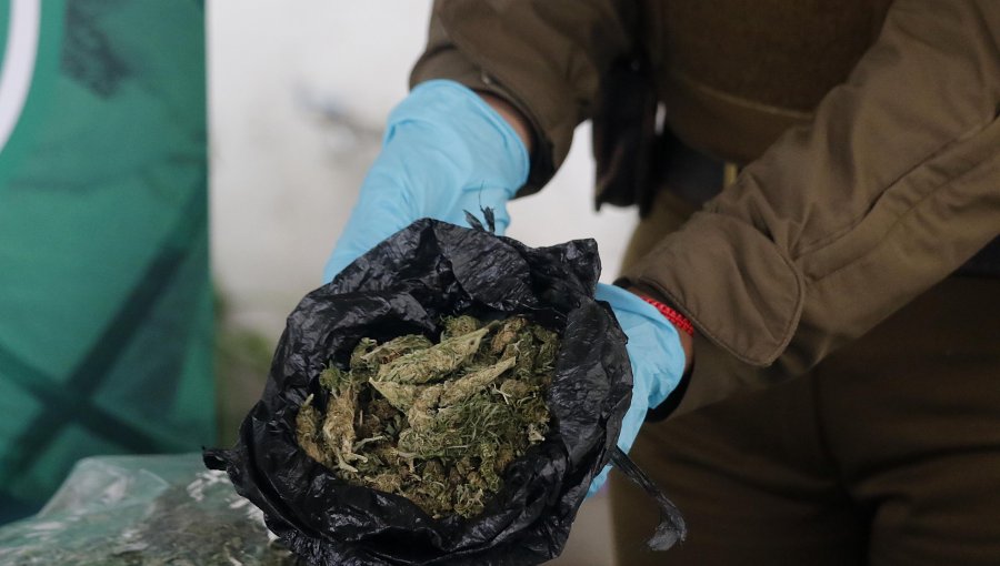 Sorprenden a conductor que escondía casi 32 kilos de marihuana en su automóvil en Petorca