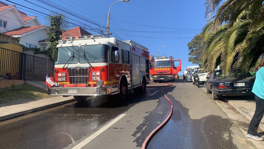 Incendio forestal enciende las alarmas en sector de Bosques de Montemar en Concón