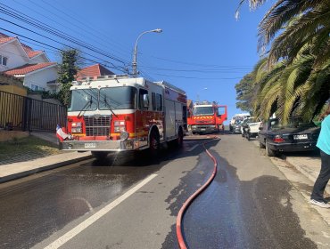 Incendio forestal enciende las alarmas en sector de Bosques de Montemar en Concón