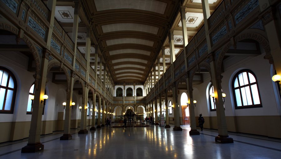 Museo Nacional de Historia Natural se prepara para su reapertura