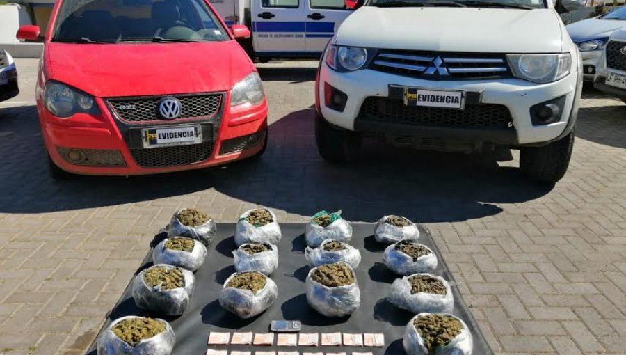 PDI incauta cerca de 15 mil dosis de cannabis sativa en control carretero de Pichidangui