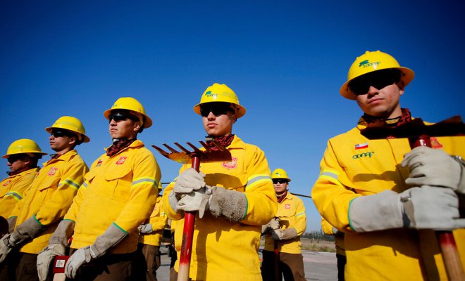 Conaf pide precaución con los asados para prevenir incendios forestales en la región de Valparaíso