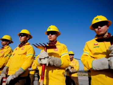 Conaf pide precaución con los asados para prevenir incendios forestales en la región de Valparaíso