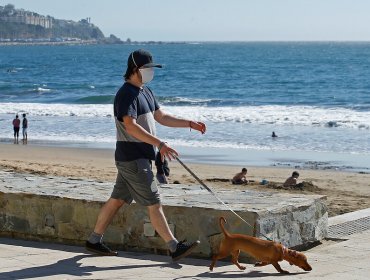 Cursan una veintena de sumarios sanitarios por uso de segundas de viviendas en balnearios como Cachagua y Los Molles