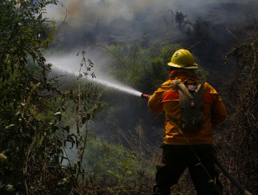 Conaf refuerza llamados para prevenir incendios forestales durante Fiestas Patrias