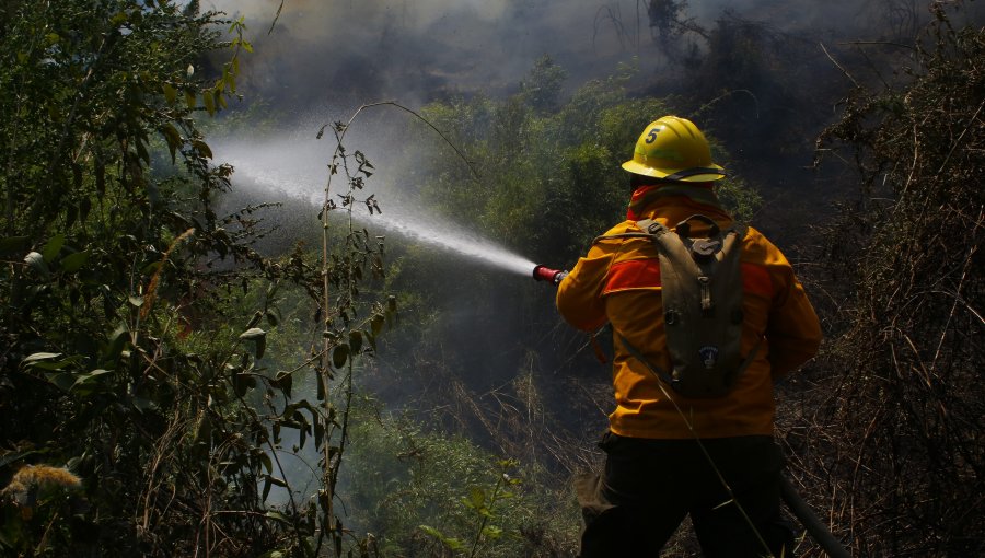 Conaf refuerza llamados para prevenir incendios forestales durante Fiestas Patrias