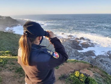 Por cielo, mar y tierra buscan a hombre que cayó desde roqueríos en Punta de Tralca