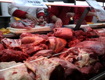 27 sumarios y 700 kilos de carne fueron decomisados durante Fiestas Patrias en la región de Coquimbo