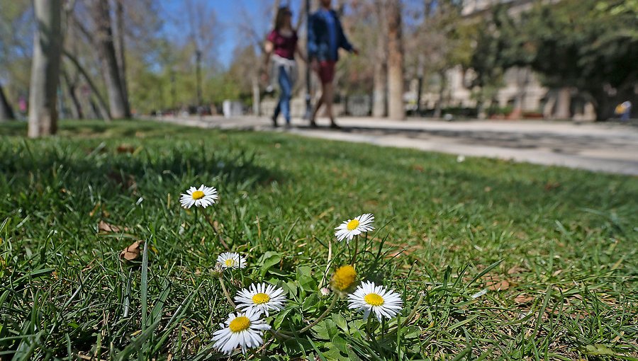 Este martes comienza oficialmente la primavera en el hemisferio sur del planeta