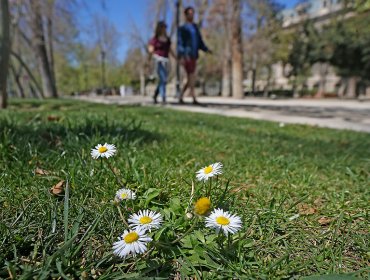 Este martes comienza oficialmente la primavera en el hemisferio sur del planeta