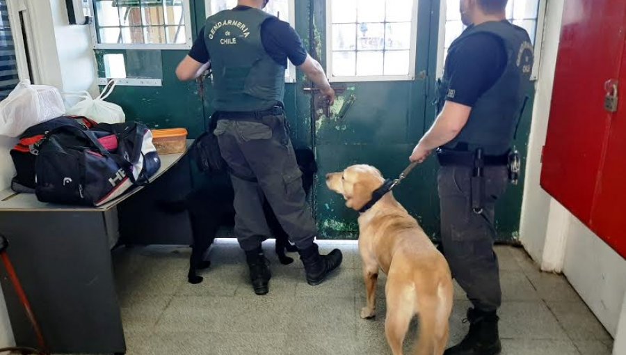 Can de Gendarmería decomisó más de un kilo de drogas en la cárcel de Valparaíso