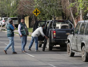 Insólita aparición de una familia de pumas en Las Condes: lograron capturar a cachorro