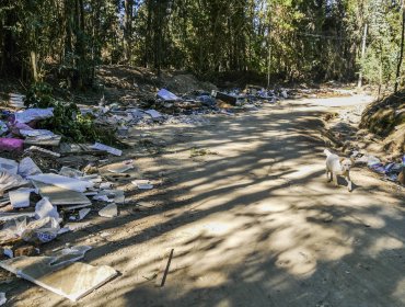 Basural clandestino lleva más de 10 años indignando a los vecinos de Valparaíso