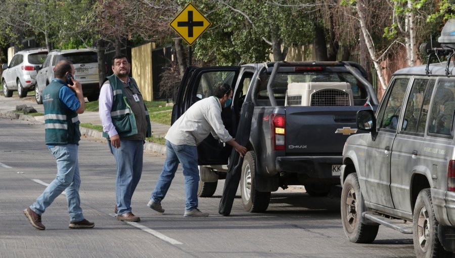 Insólita aparición de una familia de pumas en Las Condes: lograron capturar a cachorro