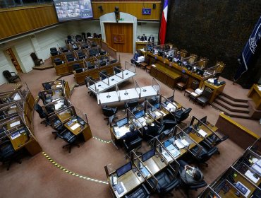 A falta de un voto, Senado rechaza eliminar inhabilidades a parlamentarios y cores