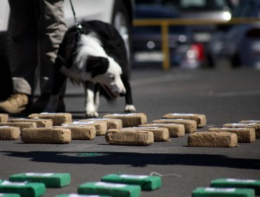 Incautan 29 kilos de cocaína en un operativo policial en la comuna de Huara