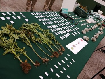 Carabineros saca de circulación más de $9 millones en drogas en Coquimbo