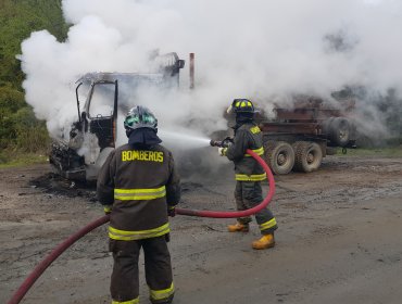 Camión fue incendiado por desconocidos en la ruta 5 Sur a la altura de Ercilla