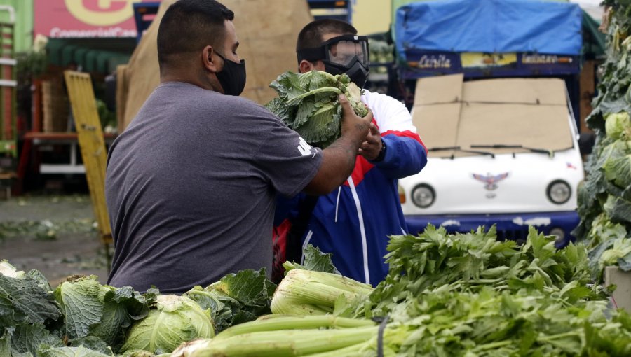 Gobierno presenta guía para disminuir desperdicios de alimentos en el hogar