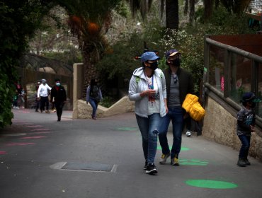 Luego de seis meses cerrado, reabre al público el Zoológico Nacional de Santiago