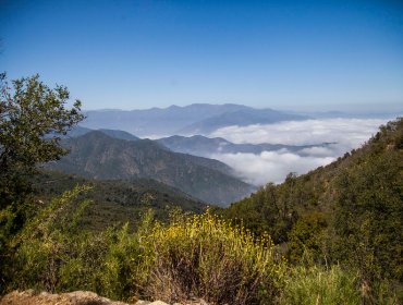 Parque Nacional La Campana de Olmué abrirá sus puertas el próximo martes 6