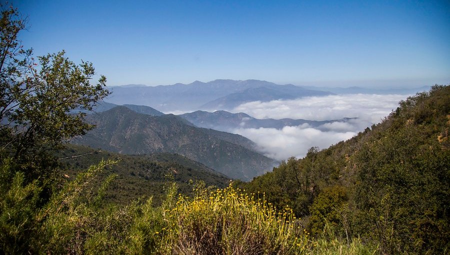 Parque Nacional La Campana De Olmué Abrirá Sus Puertas El Próximo