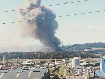 Gigantesco incendio en dependencias de pesquera moviliza a equipos de emergencia de Talcahuano