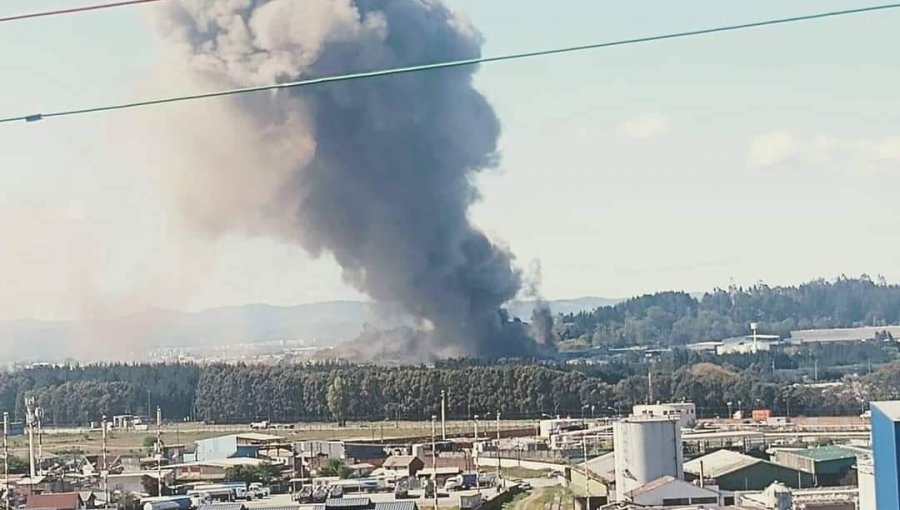 Gigantesco incendio en dependencias de pesquera moviliza a equipos de emergencia de Talcahuano