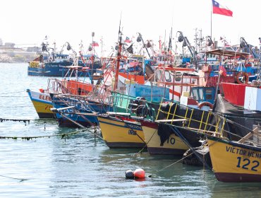 Viajes interregionales revertirán meses de pérdidas económicas en Bahía Inglesa