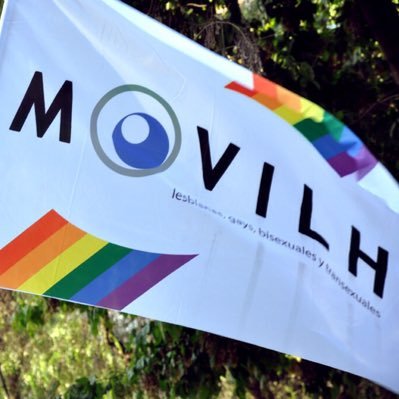 Movilh denunciará franja UDI ante Contraloría y presenta recurso de protección