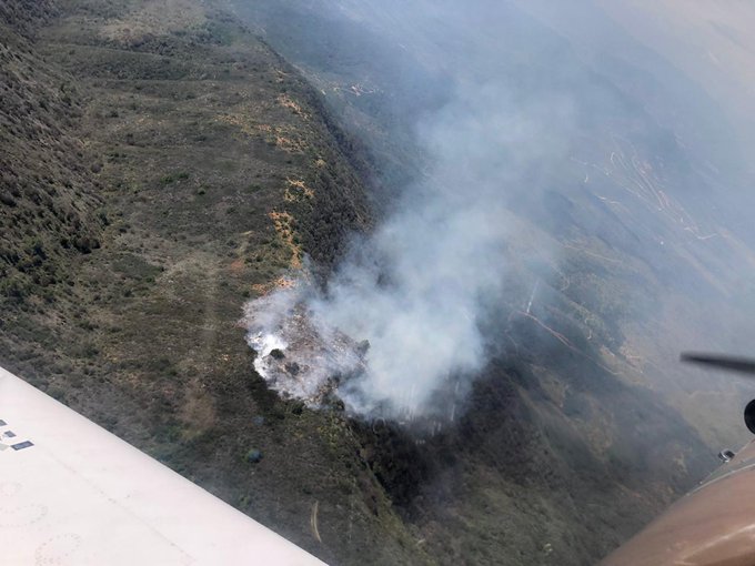 Zapallar: Declaran Alerta Roja por incendio forestal que arrasa 90 hectáreas