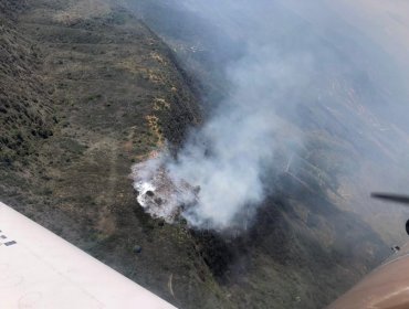 Zapallar: Declaran Alerta Roja por incendio forestal que arrasa 90 hectáreas