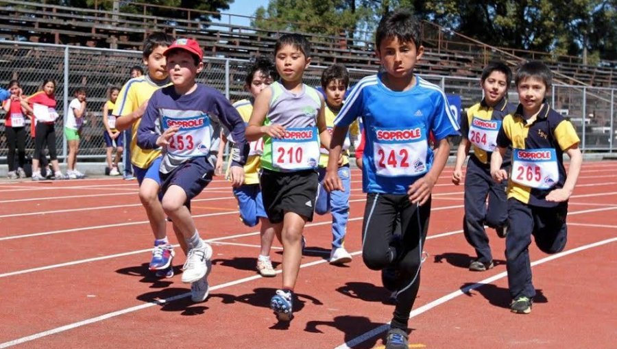 Académica UPLA asegura que bebidas energéticas no son seguras para niños deportistas