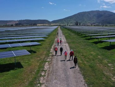 Parque fotovoltaico que abastece de energía a 9 mil hogares promete ser pilar de la recuperación económica de Valparaíso