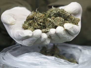 Arresto domiciliario nocturno para médico cirujano por microtráfico de marihuana en Chillán