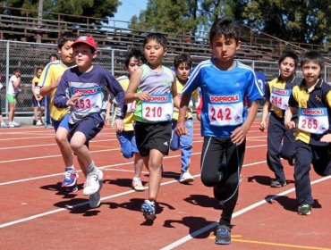 Académica UPLA asegura que bebidas energéticas no son seguras para niños deportistas