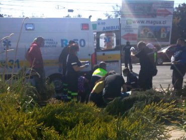 En prisión preventiva quedó sujeto que tras robar camioneta atropelló y dio a muerte a una mujer en Limache