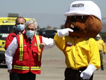 Presidente Piñera anuncia plan con "presupuesto histórico" para combatir incendios forestales