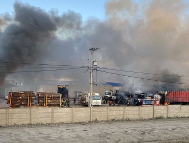 Nuevo atentado en Angol: Confederación Nacional del Transporte de Carga Terrestre de Chile advierte que movilización solo está "suspendida"