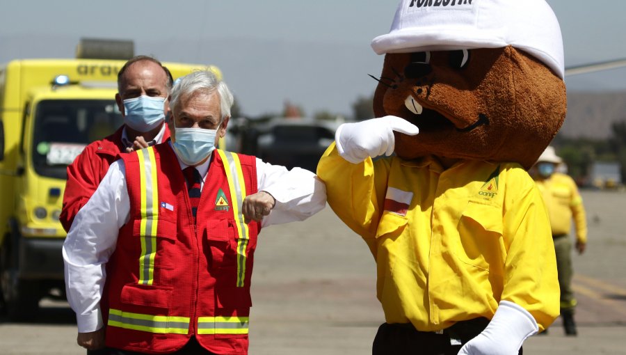 Presidente Piñera anuncia plan con "presupuesto histórico" para combatir incendios forestales