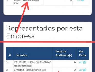 Van Rysselberghe contrató como asesora a lobista, pese a que reglamento del Senado lo prohíbe