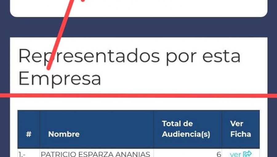 Van Rysselberghe contrató como asesora a lobista, pese a que reglamento del Senado lo prohíbe