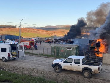 Comunidad de Temucuicui niega participación en atentado a camiones de Angol