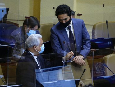 Ingreso mínimo: Cámara rechazó enmienda del Senado y se fue a comisión mixta