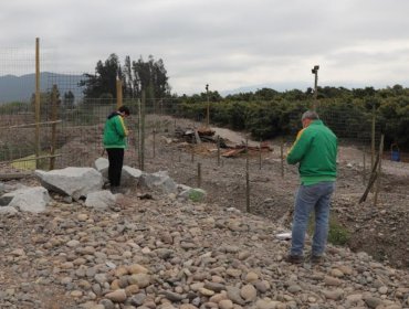 Municipalidad de La Cruz le declara la guerra a ocupación ilegal del cauce del río Aconcagua