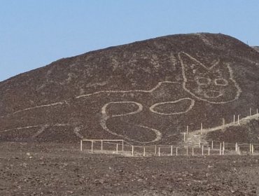 Descubren en Perú un geoglifo con forma de gato de más de 2 mil años de antigüedad