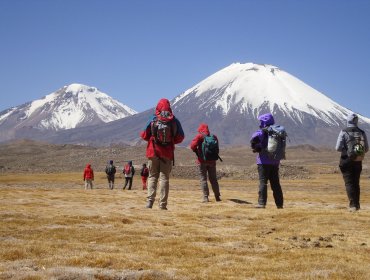 Federación de Empresas de Turismo de Chile advierte que si sigue la violencia no será posible reactivar el rubro